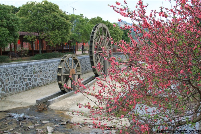 春游美丽新农村广州花都梯面镇红山村横坑村