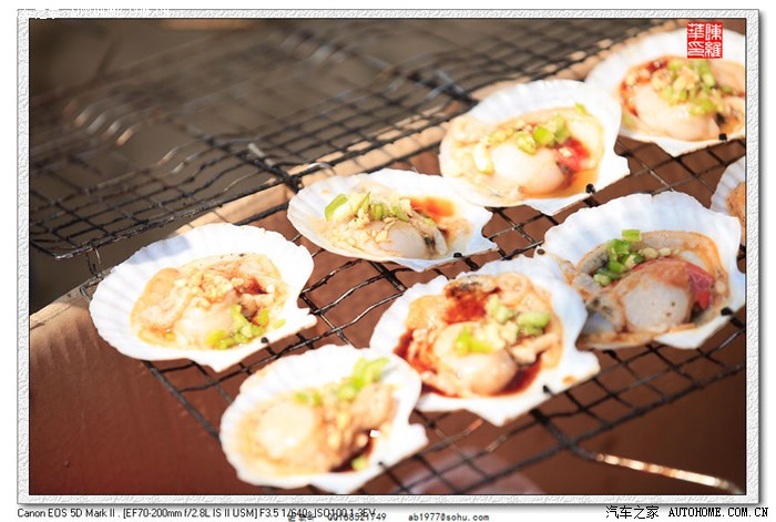 2013年4月20日自驾北京大兴梨花村游记