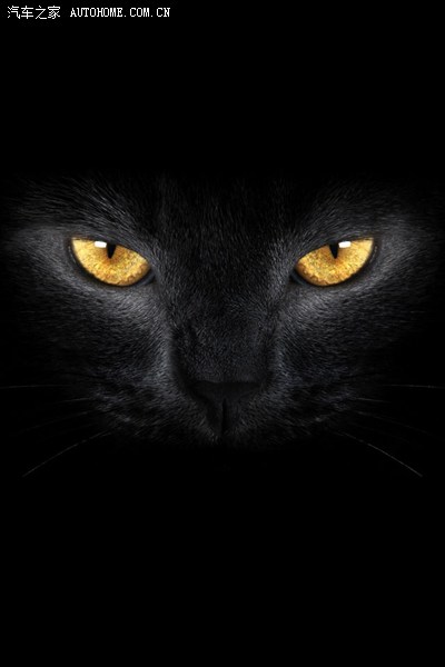 小黑39 2013-4-26 23:34:50 发表在 主楼