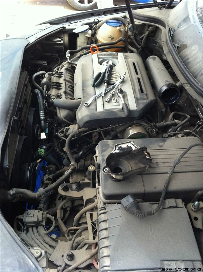 2万公里更换水泵_迈腾论坛_汽车之家论坛