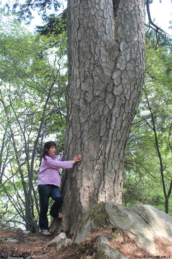 好景好心情自驾秦岭南五台