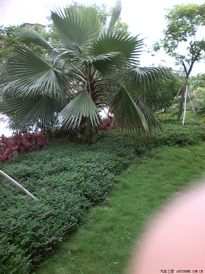 广东佛山三水区白坭镇大堤上的西江公园