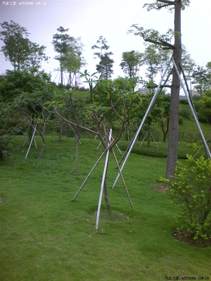 广东佛山三水区白坭镇大堤上的西江公园