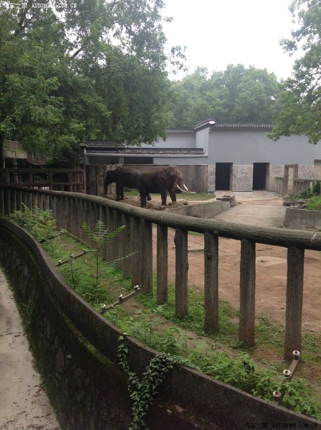 五月西湖遊杭州動物園篇