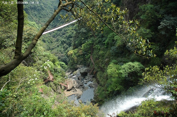 豪行天下的週末生活旗山國家森林公園自駕遊