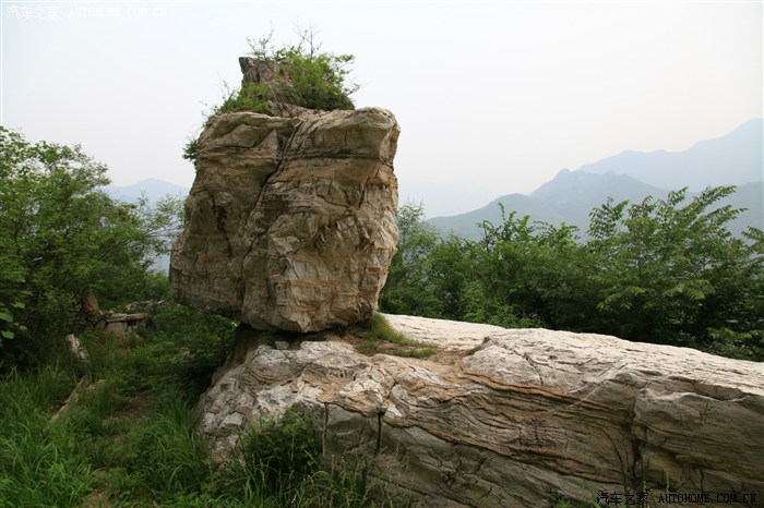 看看这 石头像什么