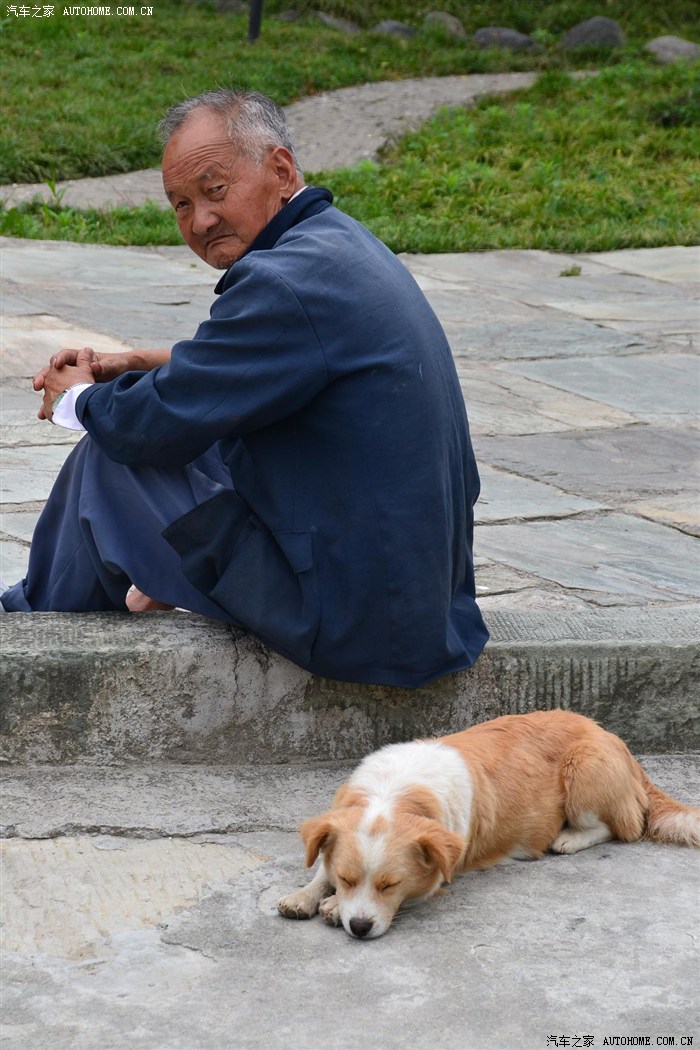 老人和狗,狗睡的真香