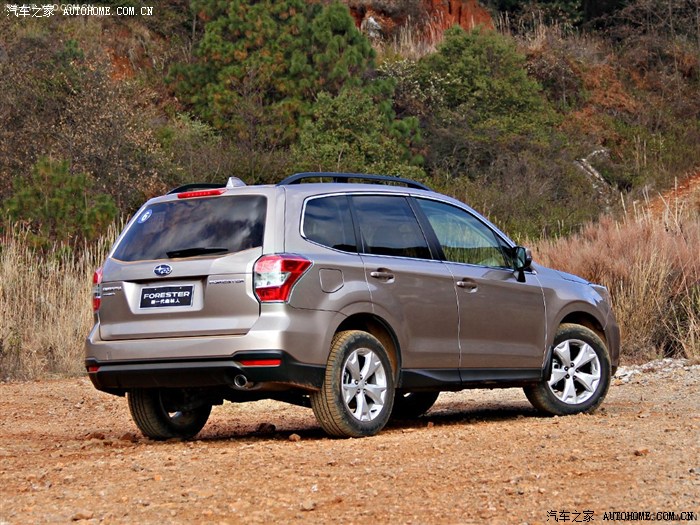 13款森林人颜色选择