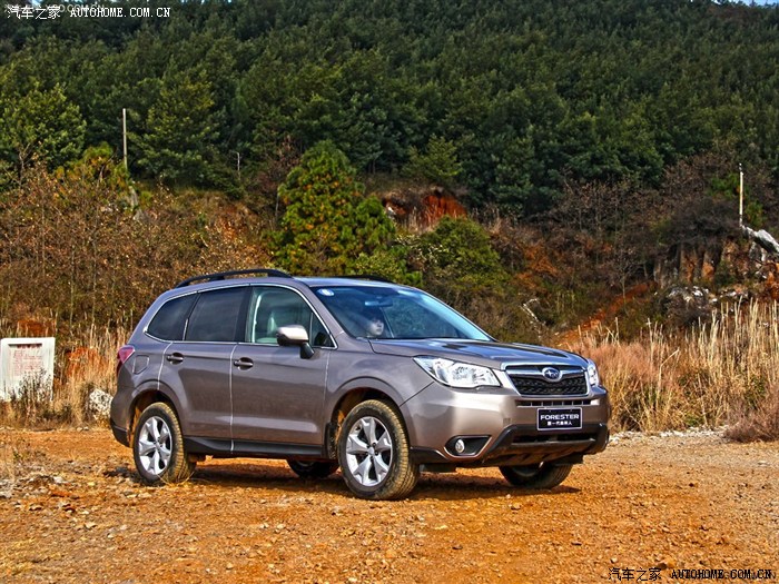 13款森林人颜色选择