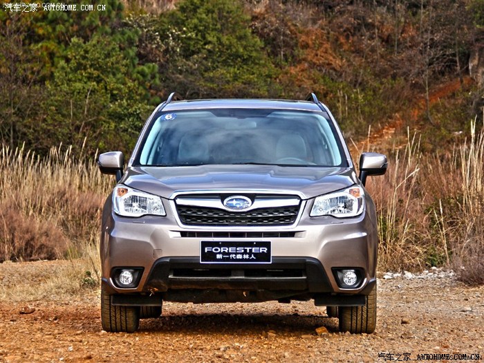 13款森林人颜色选择