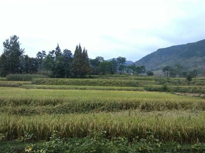 有阵子没来了,发组图片《深山老林.