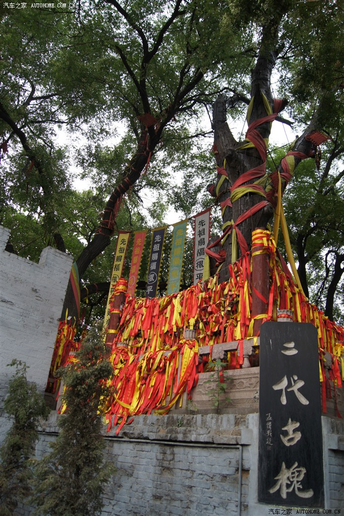 【图】【我爱小威2014】洪洞大槐树寻根问祖_山东论坛_汽车之家论坛