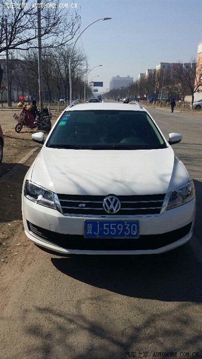 河北沧州小狼漂亮记.