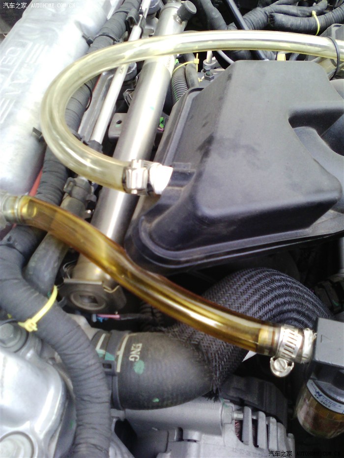 想知道曲轴箱废气管里面是什么样子的同学进来看看