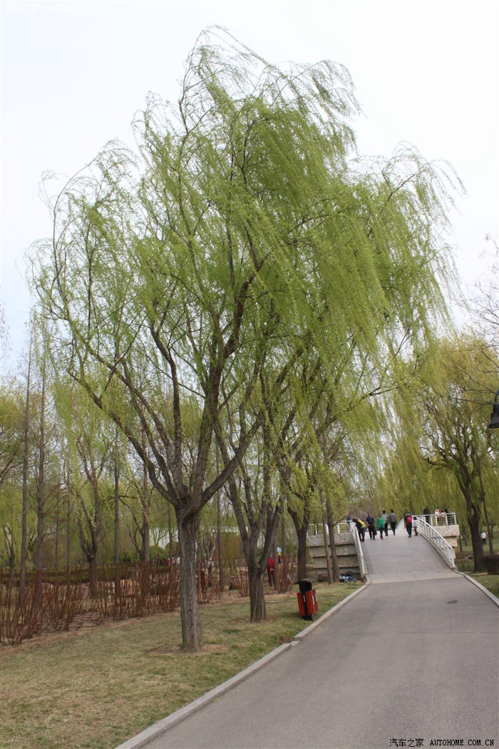 青岛大琨之青岛昂科拉车友城阳奥林匹克公园一日游