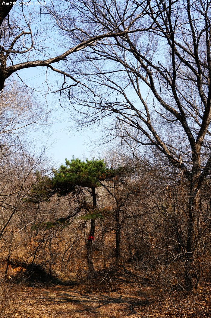 随拍沈阳东山踏青