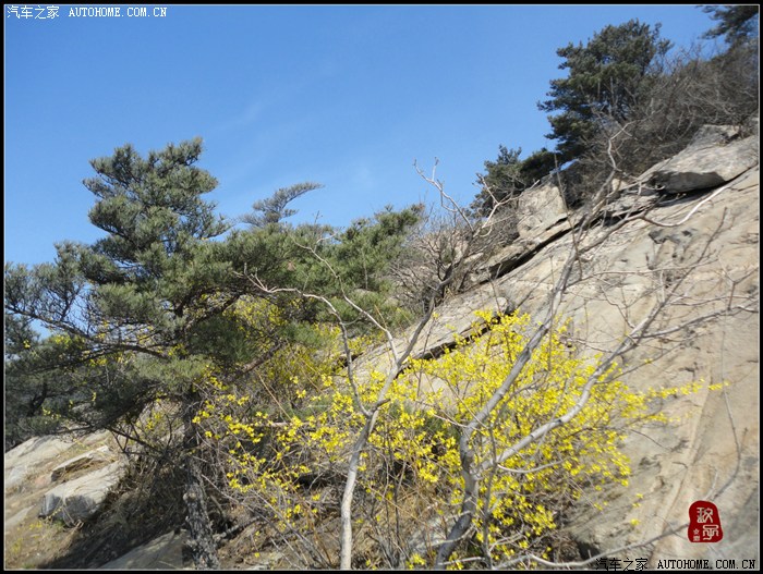 【图】不惊渤海桑田变,来看龟蒙漏泽春——春游蒙山