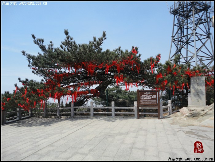 【图】不惊渤海桑田变,来看龟蒙漏泽春——春游蒙山