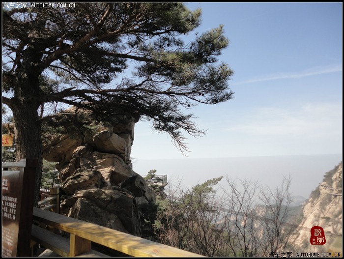 【图】不惊渤海桑田变,来看龟蒙漏泽春——春游蒙山