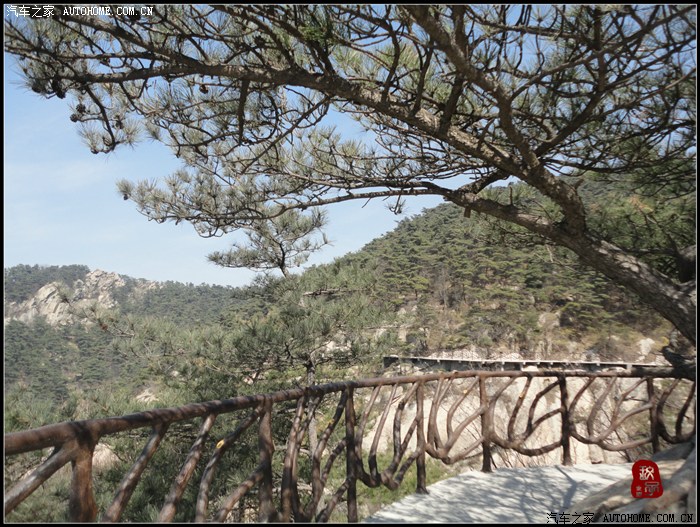 【图】不惊渤海桑田变,来看龟蒙漏泽春——春游蒙山