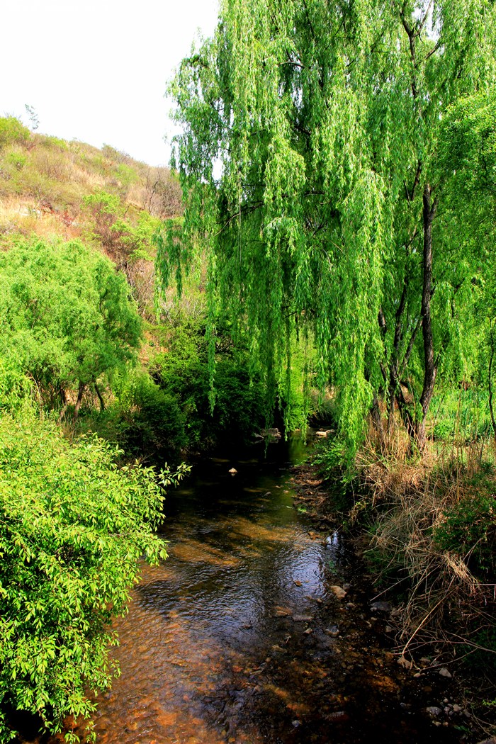 松花坝蓄水不足,请大家节约用水
