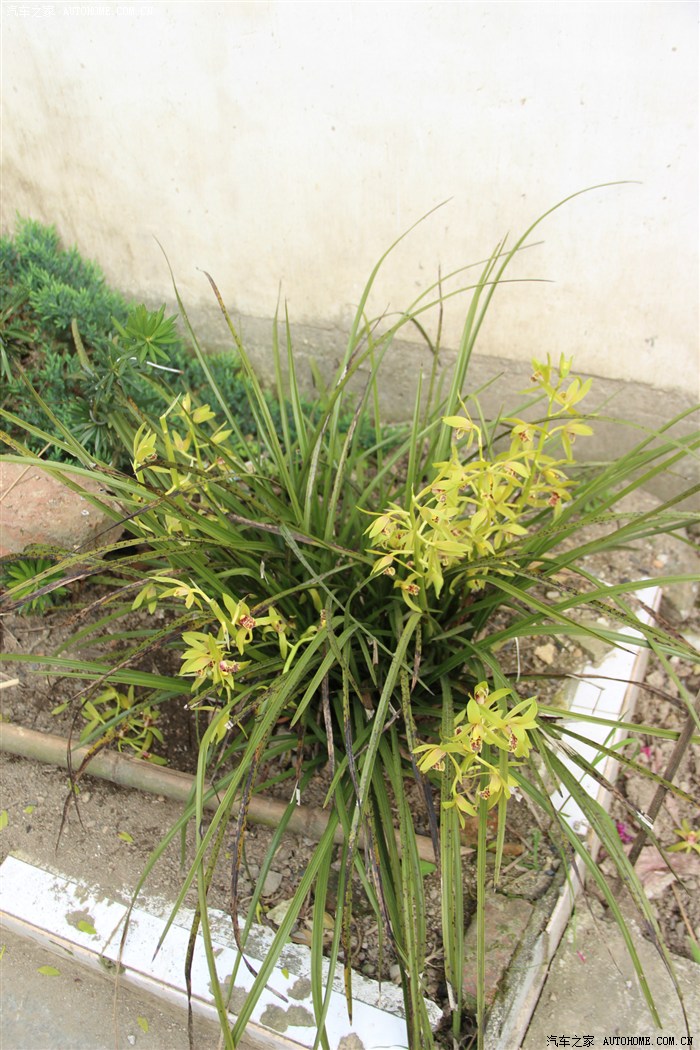 清明皖南古村,新安江山水画廊自驾游