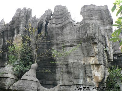 重庆游记之:万盛石林黑山谷