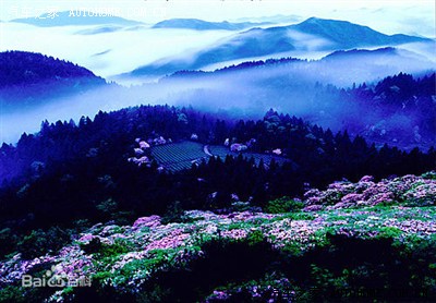 浙江天台山华顶森林公园一日游记