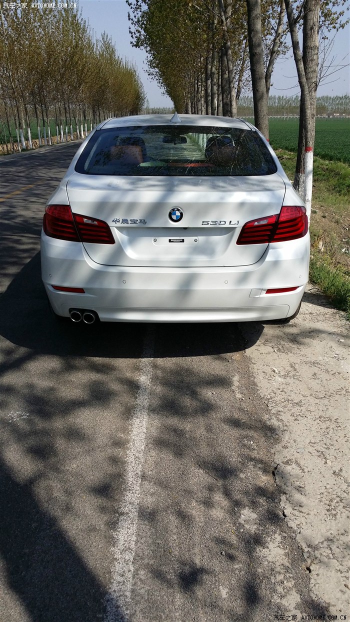 翻滚吧马宝宝 2014款530li迟到的作业.