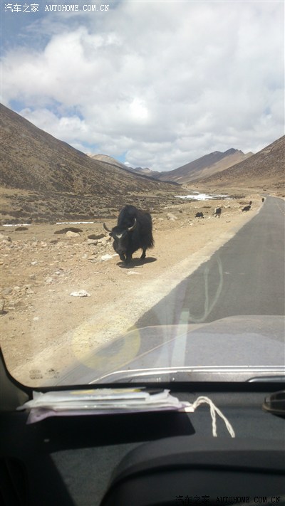 盘山路转弯遇对头货车就这样开慢点没事此时我走完214现在
