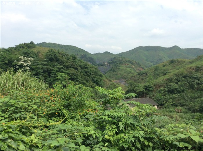 20年后的我重游四望嶂 (已更新)