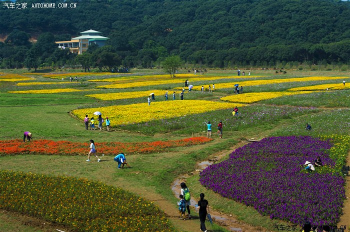 景逸x3杯東莞清溪大王山森林公園賞花南社古民居