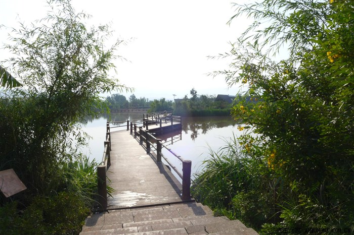 西昌邛海最美湿地公园:烟雨鹭洲湿地公园