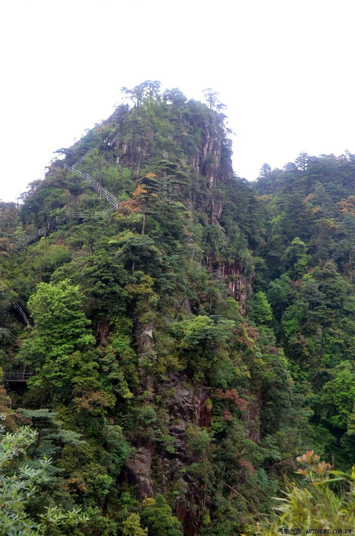 【莽山森林公園】挺進鬼子寨/天台山