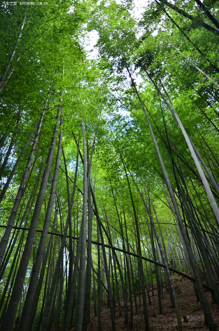 周末爬绍兴诸葛山--多图 手机党慎入
