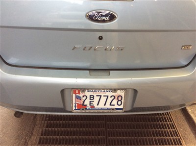 美国的纽约看到的各种车牌