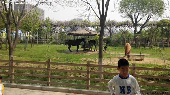 【圖】鄭州動物園遊記_河南論壇_汽車之家論壇