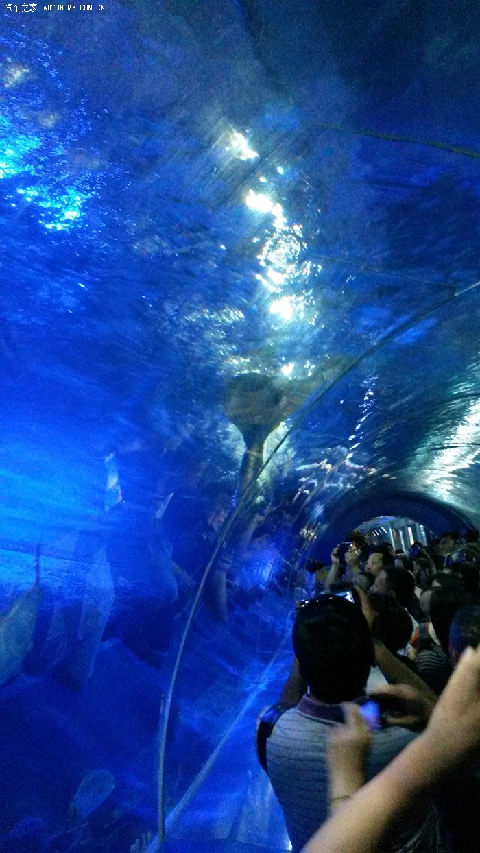 游记海洋让生命更美好大丰海洋博览会一日游