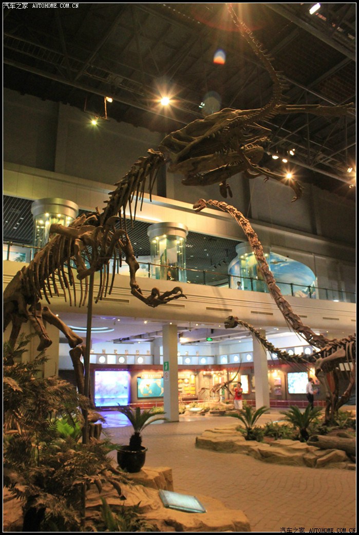 探秘侏罗纪全球霸主走进自贡恐龙博物馆