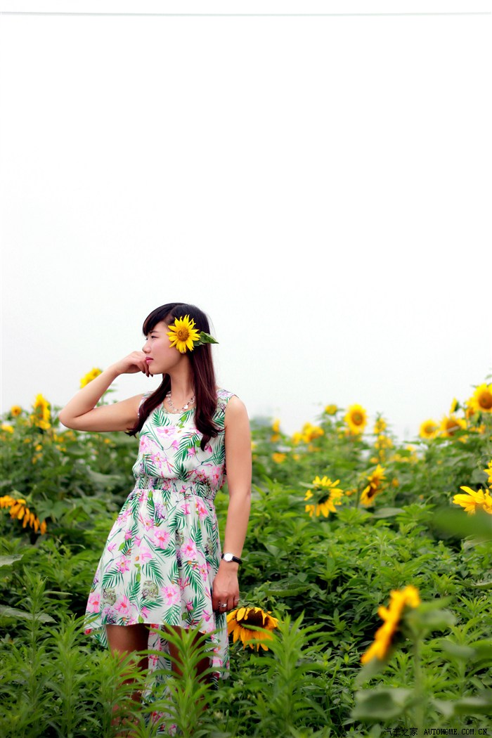小妖记寻找阳光的味道那些向阳的花