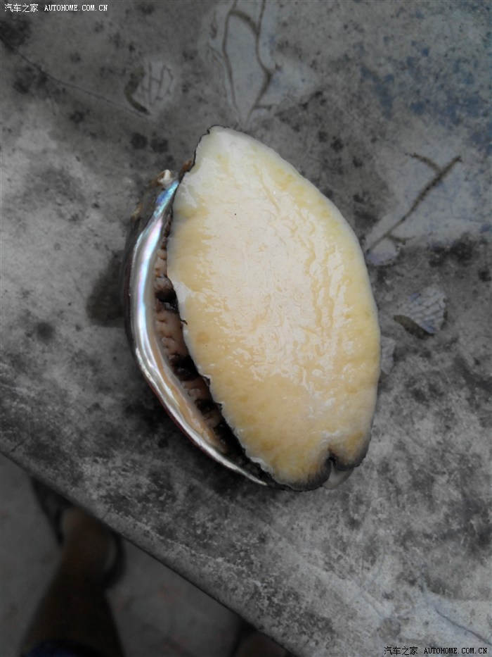 清蒸鲍鱼和花蟹