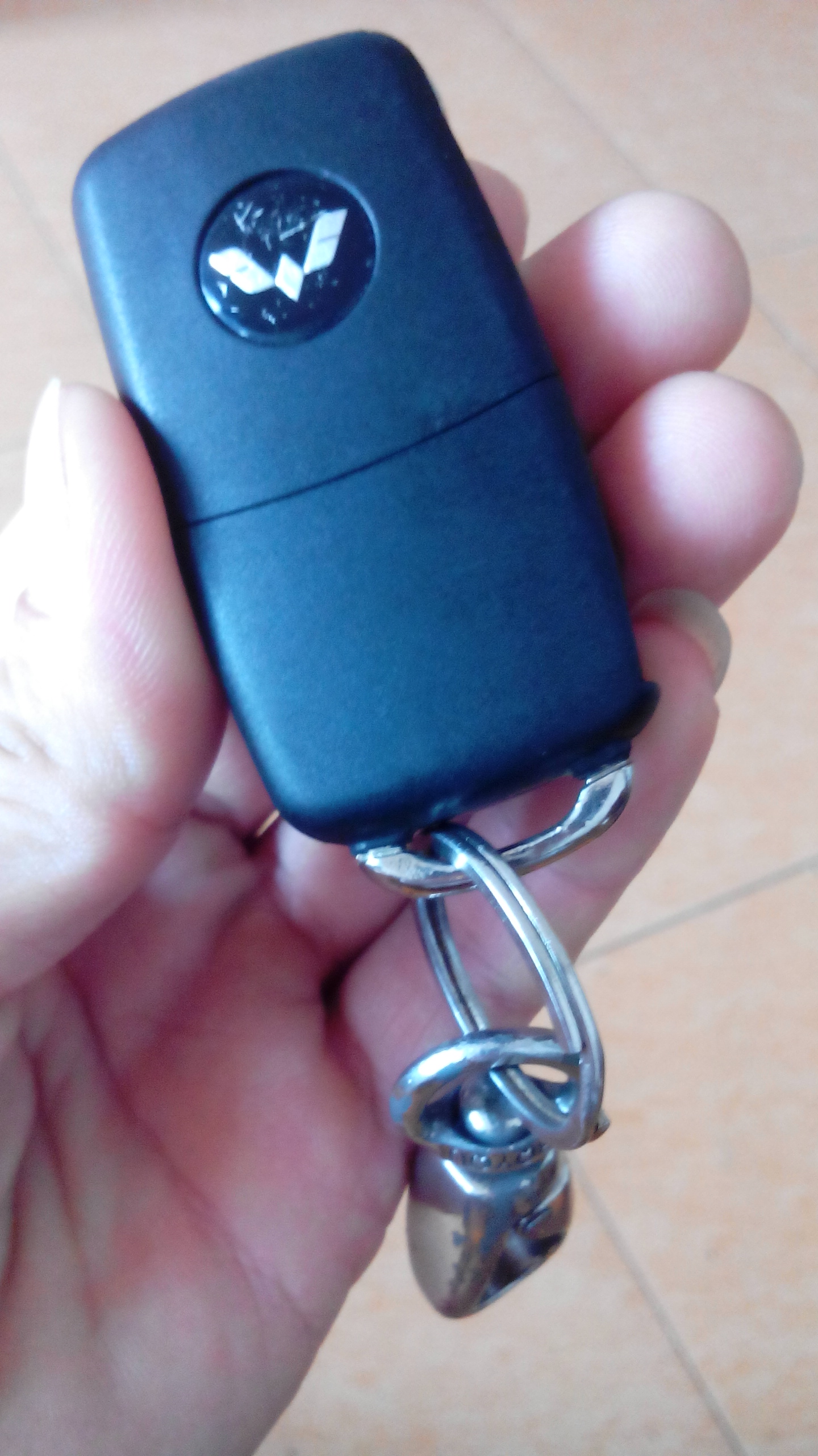 3005 | 回复: 27 五菱宏光论坛 宏光s钥匙有点变态,一般钥匙圈放进不