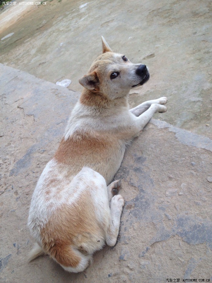 我的家乡邵东灵官殿