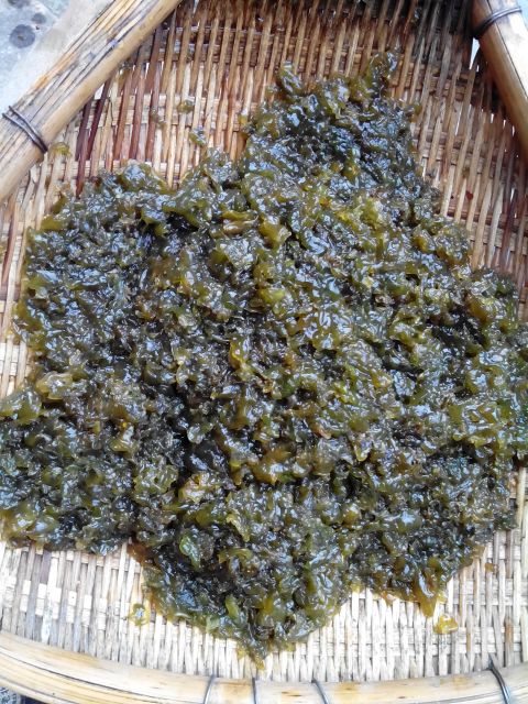 农村人请大家吃沙菇了