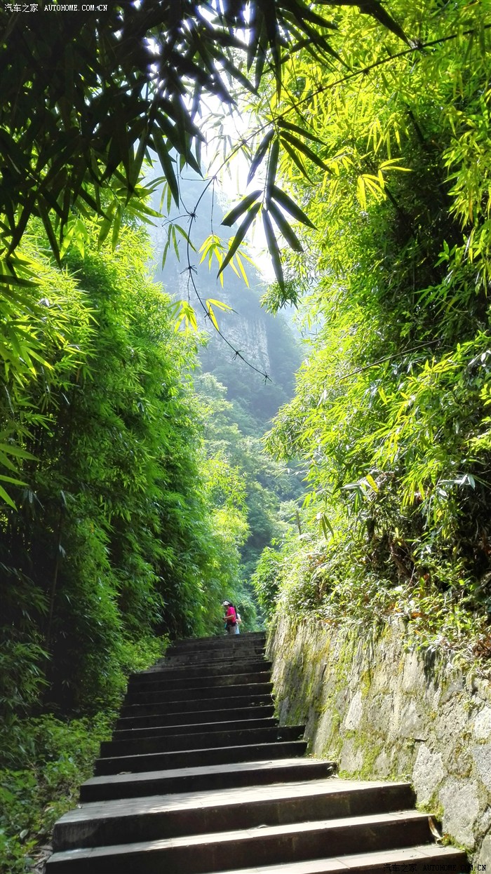 湖北宜昌三峡竹海泗溪生态风景区一日游