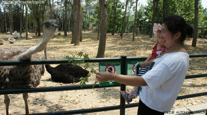 辽宁营口白沙湾大连野生动物园四天三夜自驾游