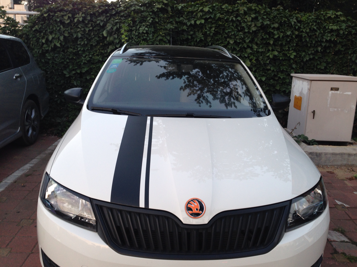 【就爱自己diy】内饰后视镜车标改色,机盖拉花