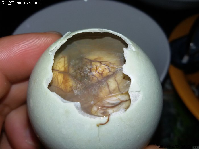 酸菜鱼南瓜藤活蛋等等等家常菜