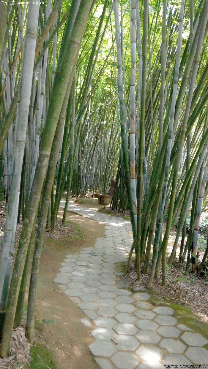 南宁凤凰谷有神奇的东东