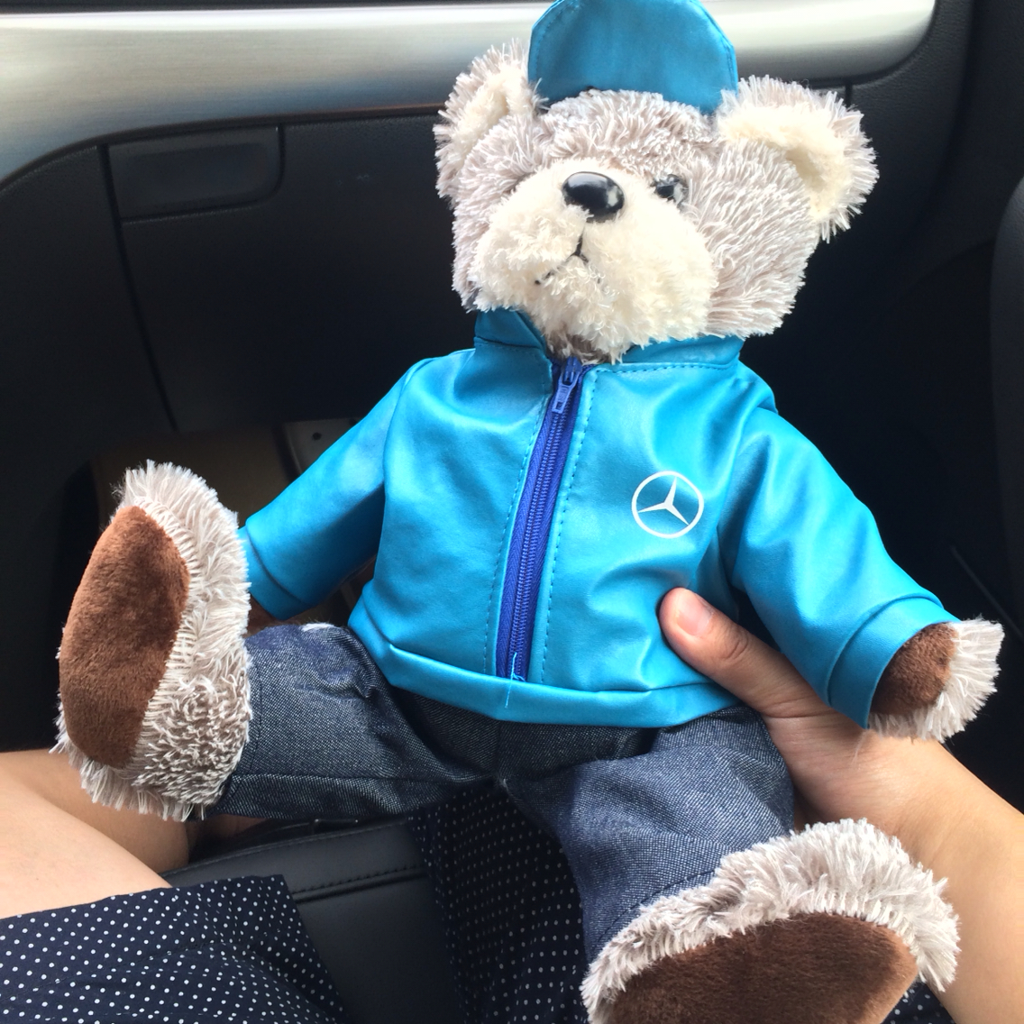 奔驰熊是什么样子